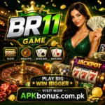 BR11 Game APK