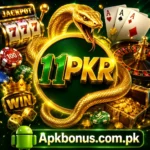 11Pkr Game