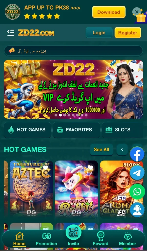 ZD22 Game Interface