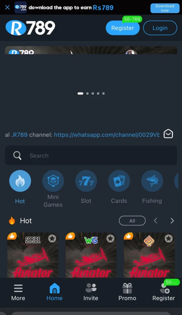 R789 Game Interface