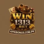 Win313 Game Feature Image